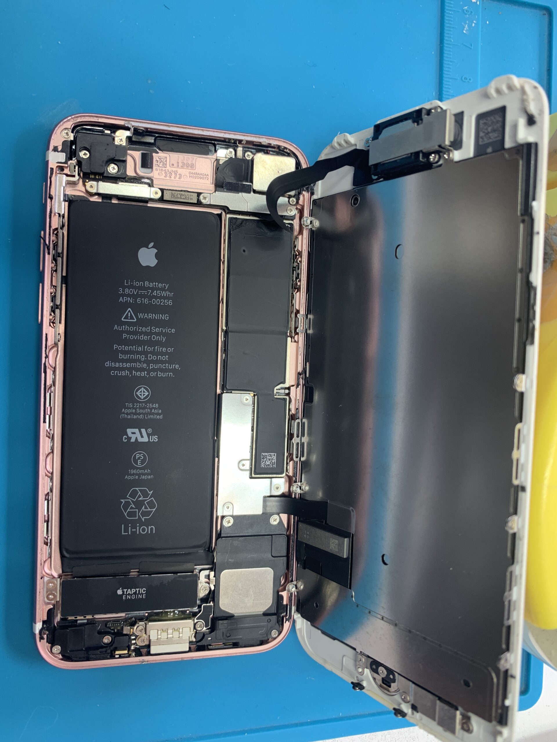 iPhone7 バッテリー交換作業【練馬店】