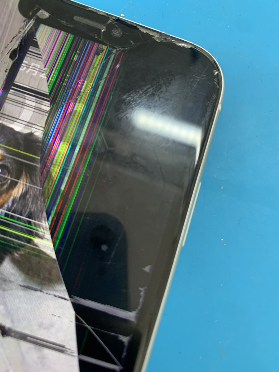 iPhone11 液晶漏れ・パネル交換【東久留米店】