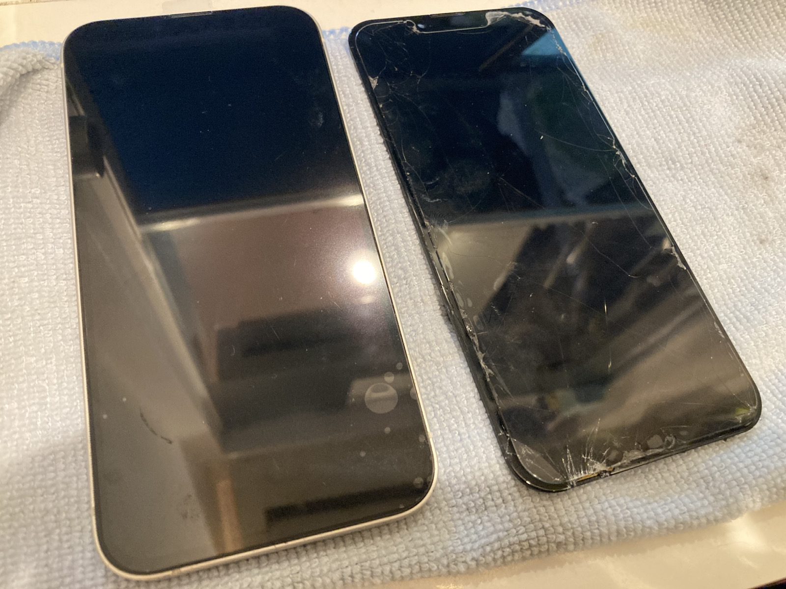 iPhone13 液晶即日修理を承りました！【溝の口店】