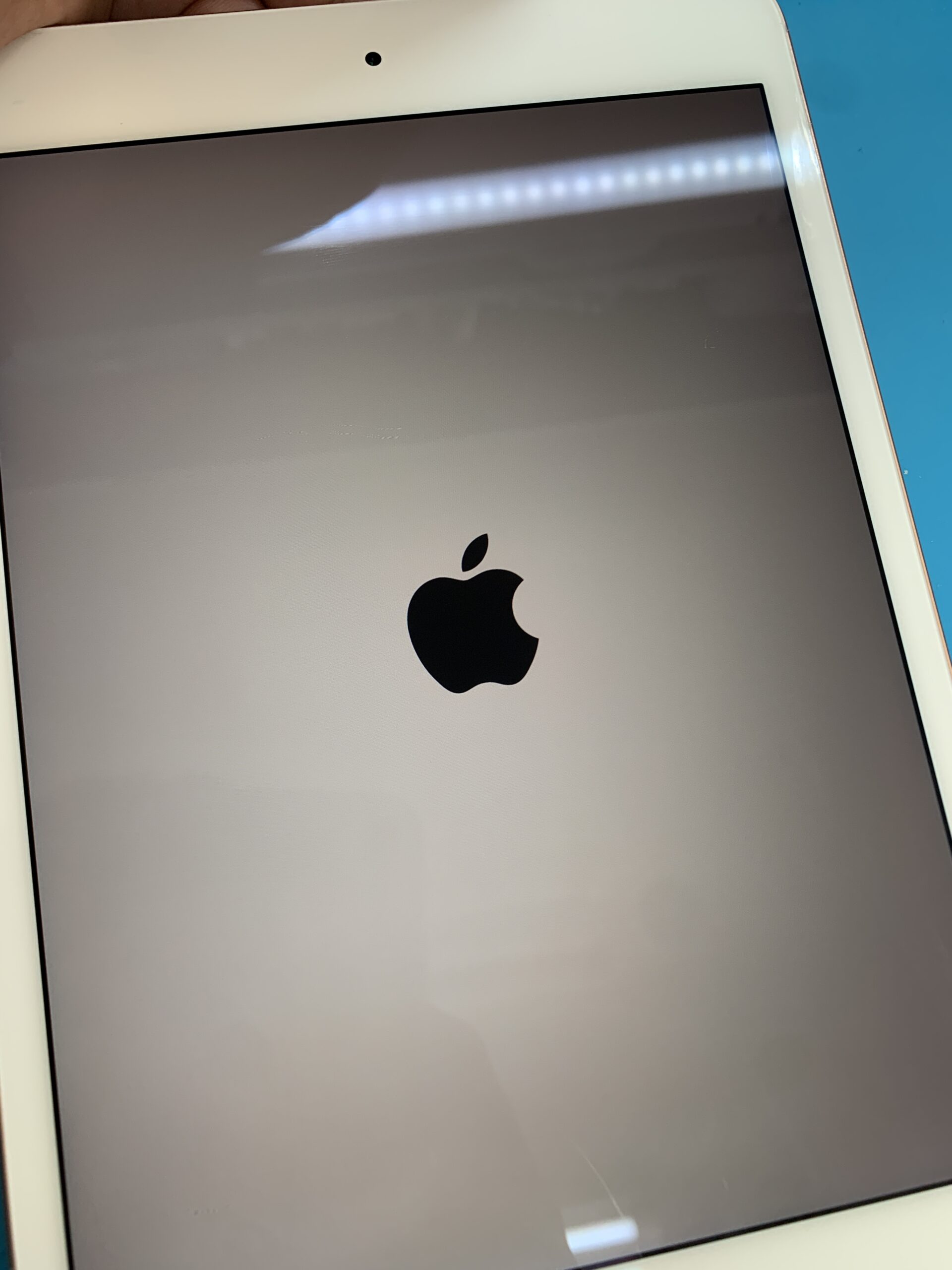 iPad mini5 バッテリー交換も即日対応【東久留米店】